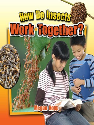 cover image of How Do Insects Work Together?